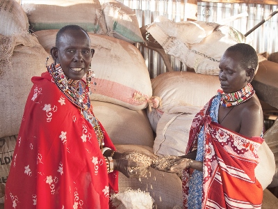 Maasai Women group preparing seedlings for planting